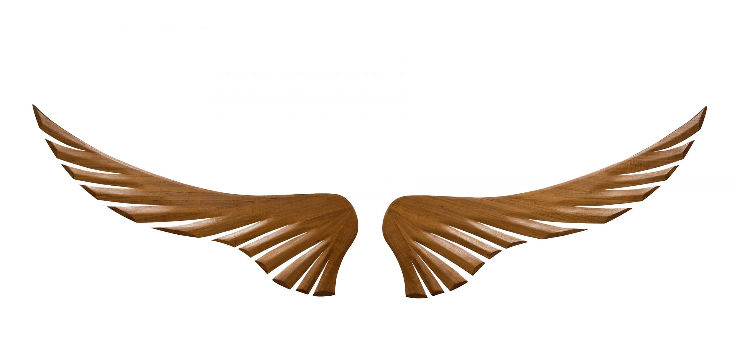 Escultura Asas de Davi B