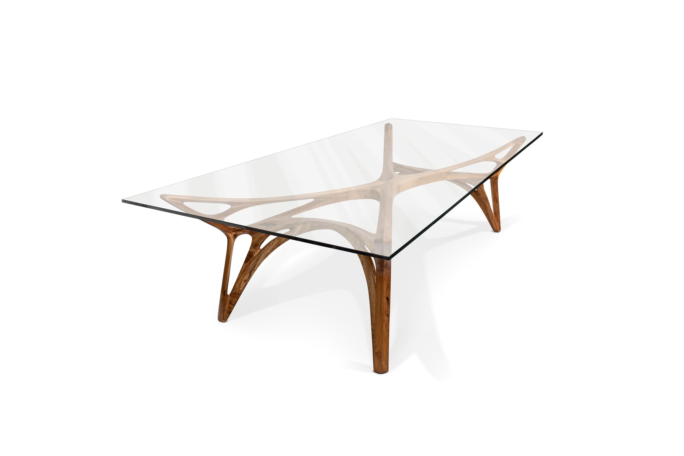 Mesa Plexxus