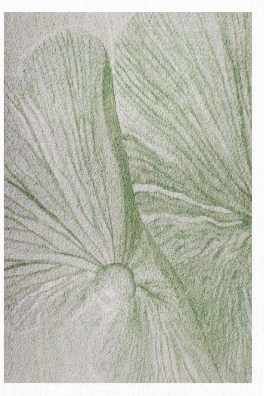 Tapete Aereus